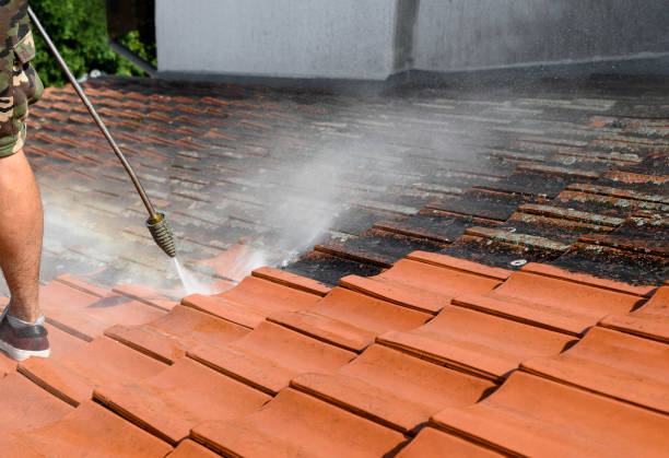 Best Affordable Power Washing  in Midlothian, TX