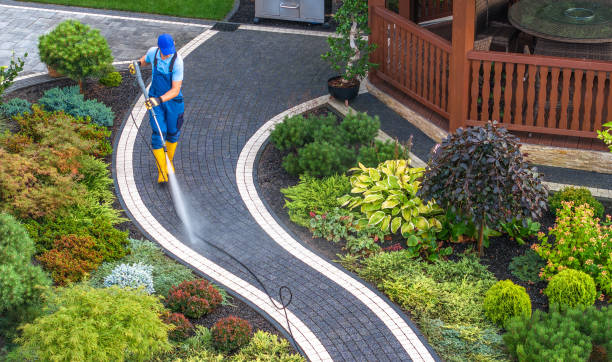 Best Roof Pressure Washing  in Midlothian, TX
